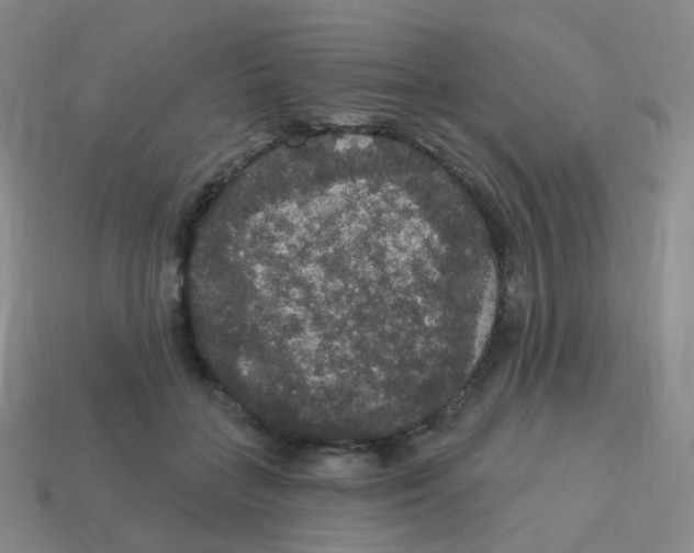 X0000113550555200910161436