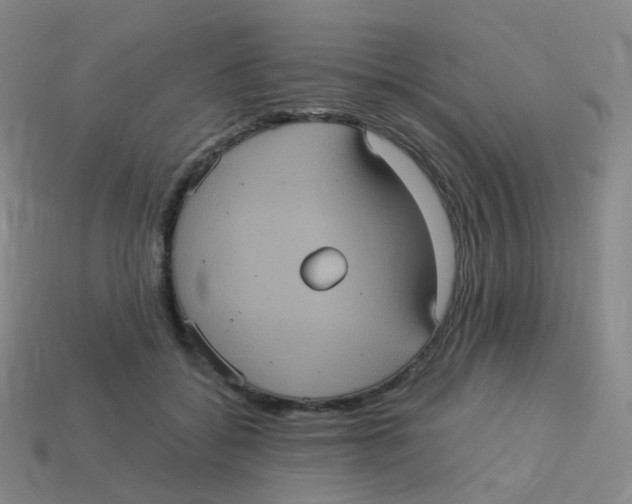 X0000113550556200910161436