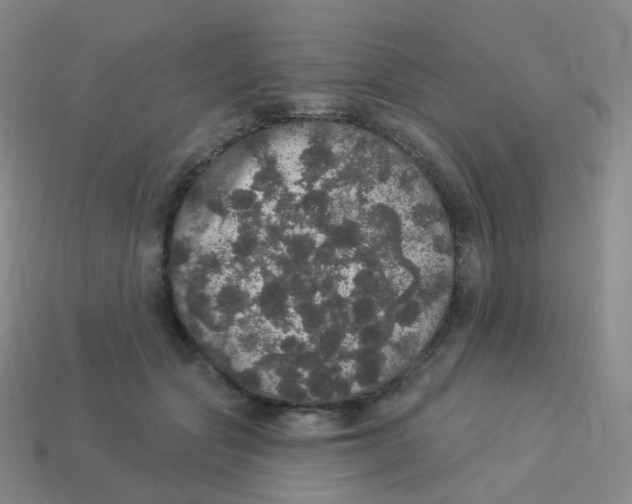 X0000113550557200910161436