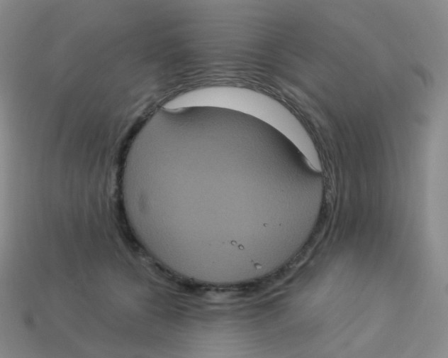 X0000113550560200910161436