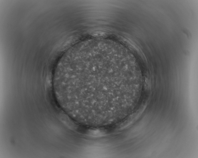 X0000113550561200910161436