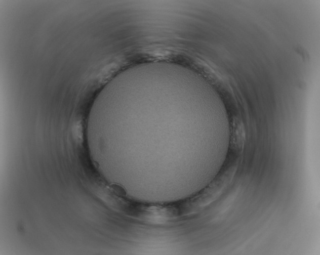 X0000113550562200910161436
