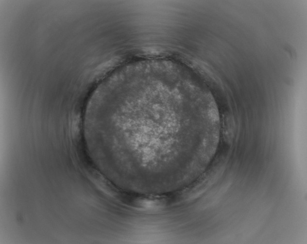 X0000113550563200910161436