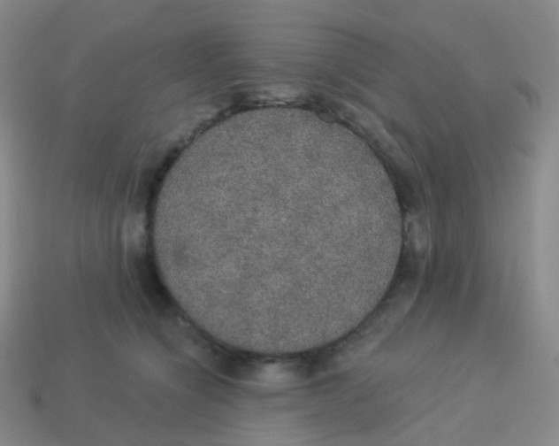X0000113550564200910161436