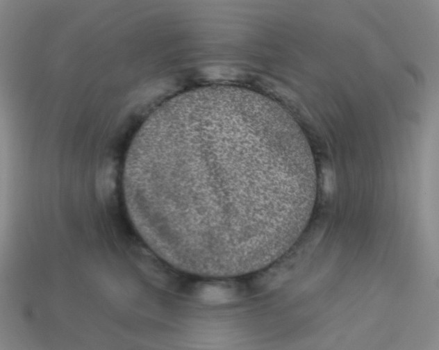 X0000113550567200910161436
