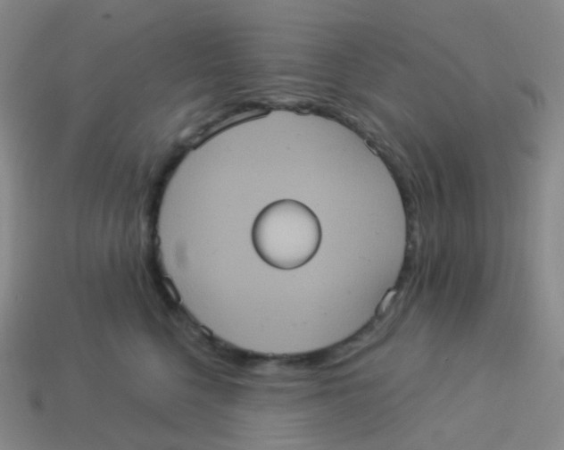 X0000113550568200910161436