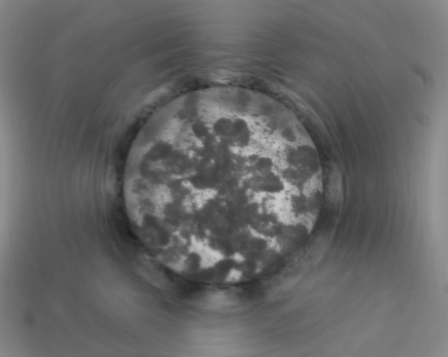 X0000113550569200910161436