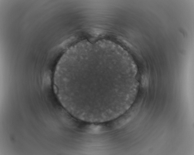 X0000113550570200910161436
