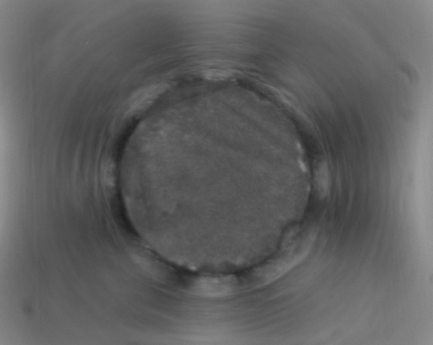 X0000113550571200910161436