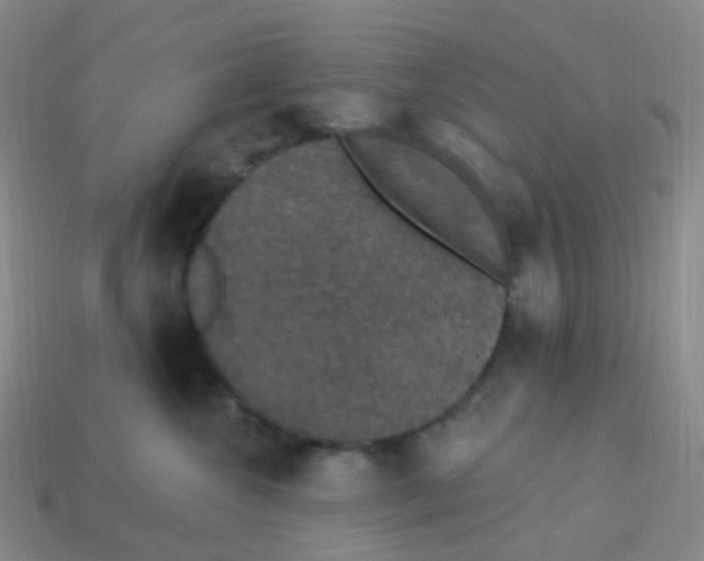 X0000113550572200910161436