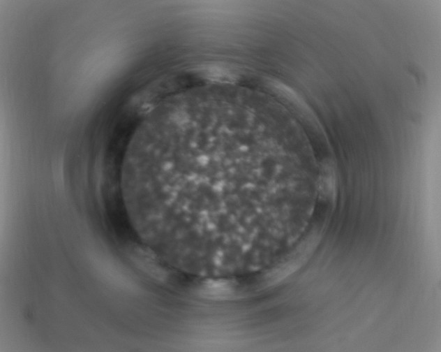 X0000113550573200910161436