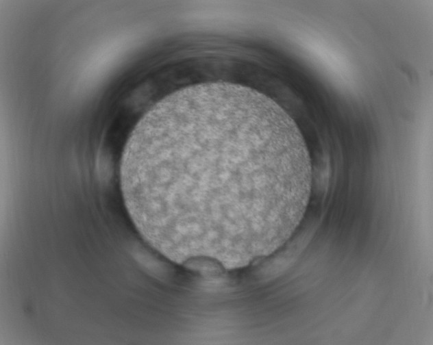 X0000113550574200910161436
