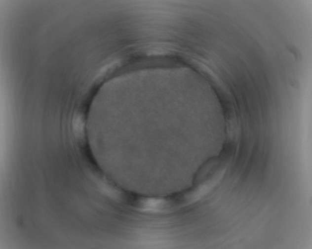 X0000113550575200910161436