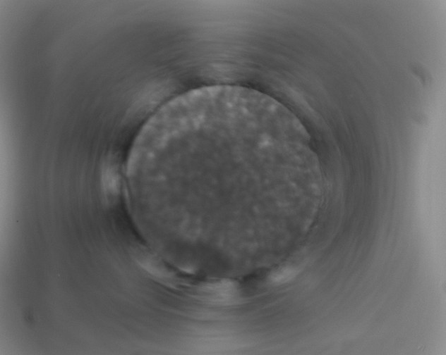 X0000113550576200910161436
