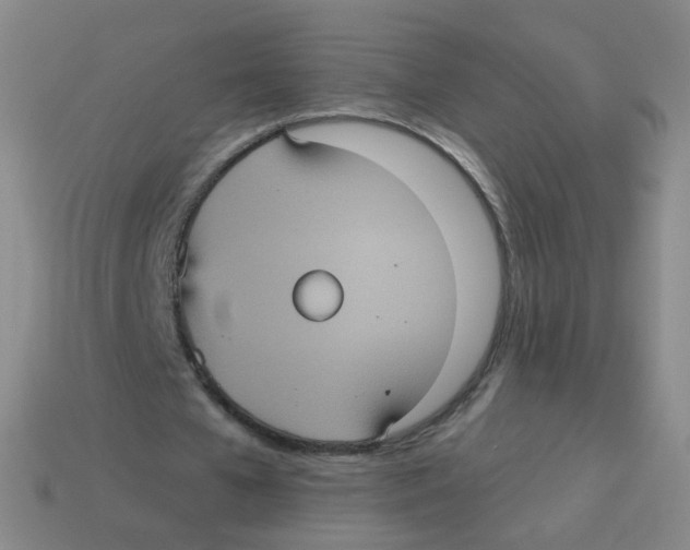 X0000113550577200910161436