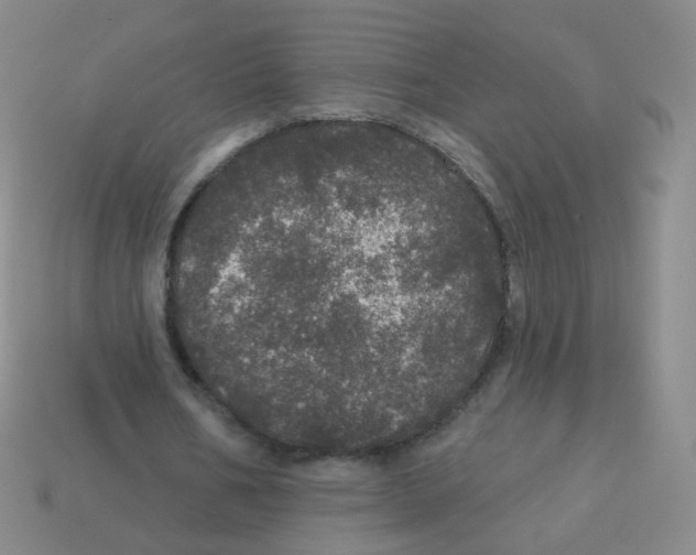 X0000113550578200910161436