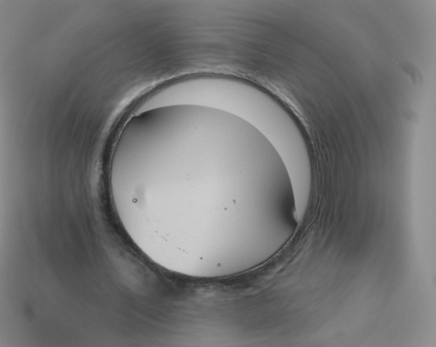 X0000113550579200910161436