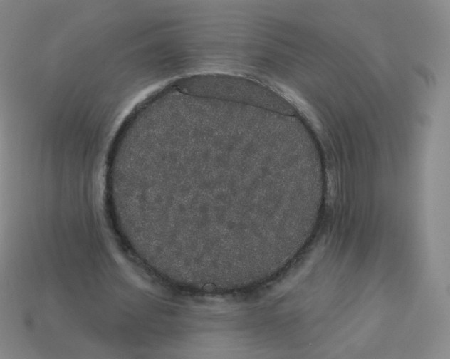 X0000113550580200910161436