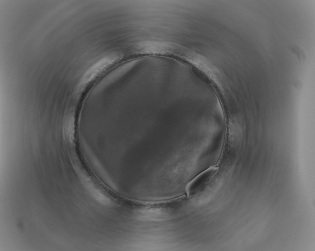 X0000113550581200910161436
