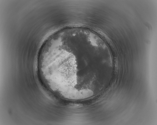 X0000113550582200910161436