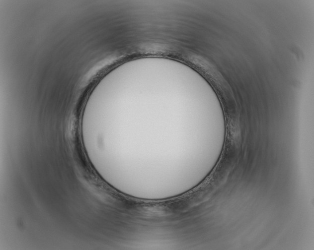 X0000113550583200910161436