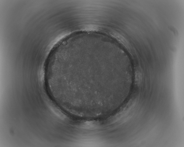 X0000113550584200910161436