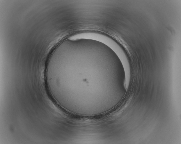 X0000113550585200910161436