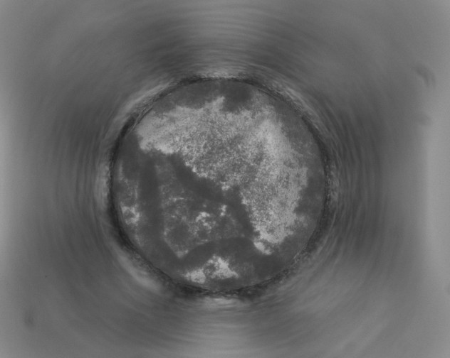 X0000113550586200910161436