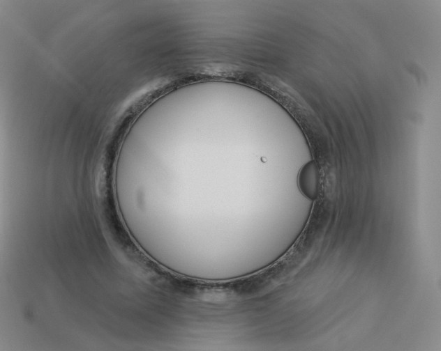 X0000113550587200910161436