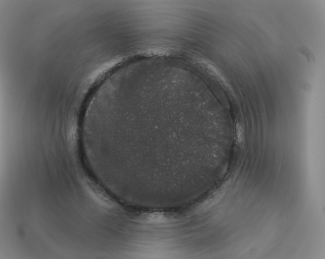 X0000113550588200910161436