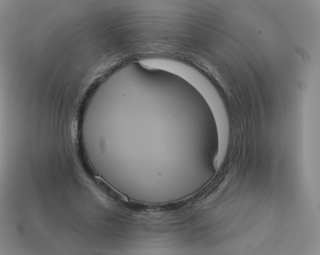 X0000113550589200910161436