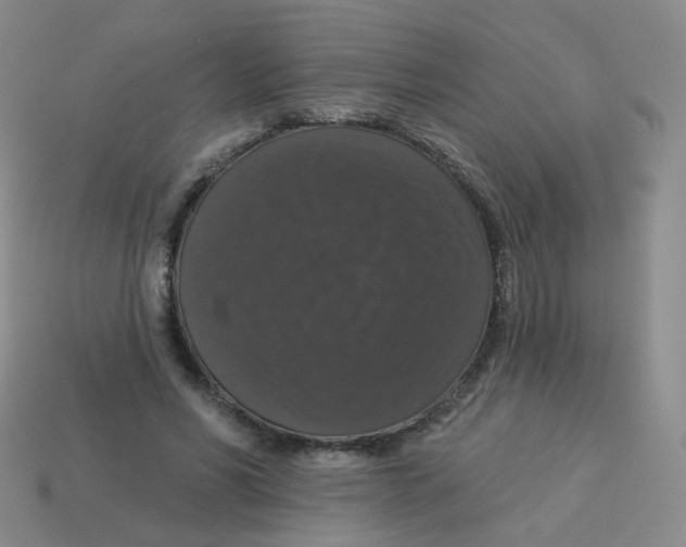 X0000113550590200910161435