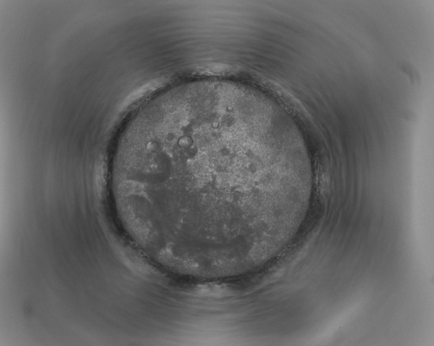 X0000113550591200910161435