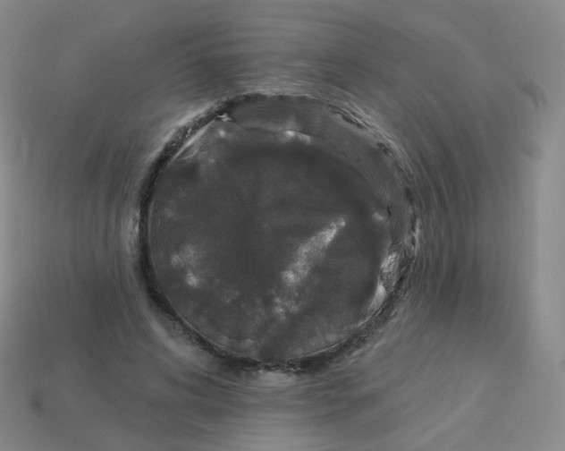 X0000113550592200910161435