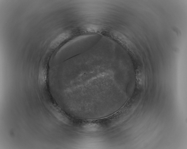 X0000113550593200910161435