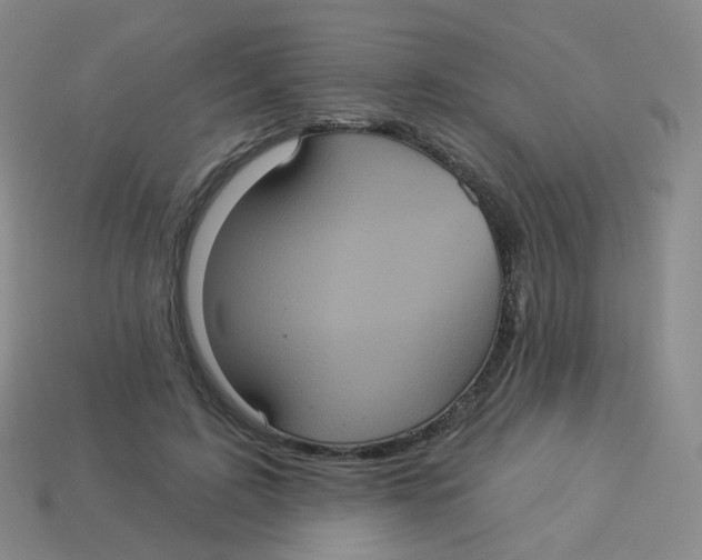 X0000113550595200910161435