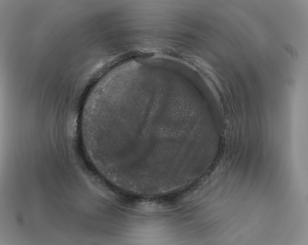X0000113550596200910161435