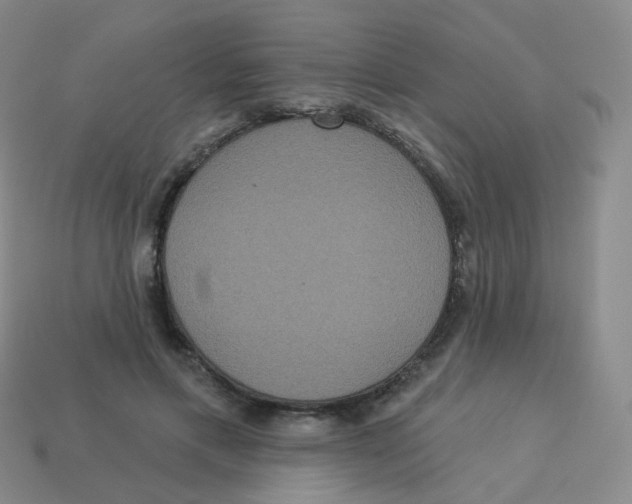 X0000113550597200910161435