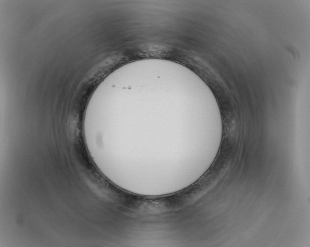 X0000113550599200910161435