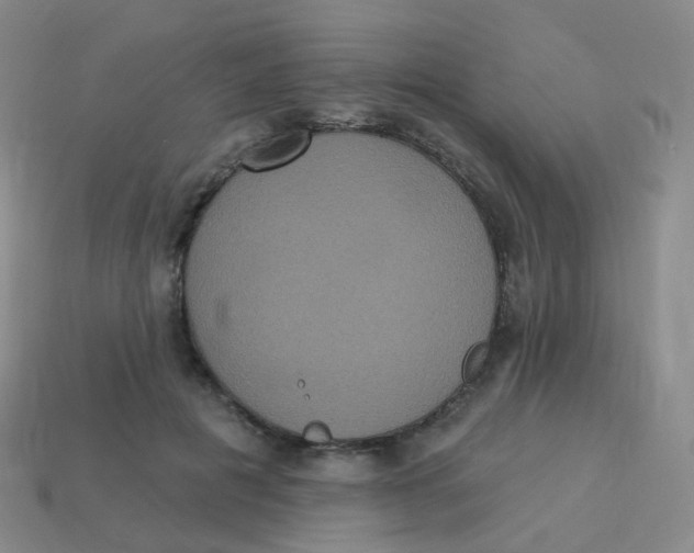 X0000113550601200910161435