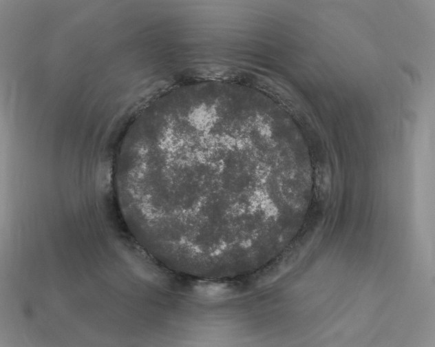 X0000113550602200910161435