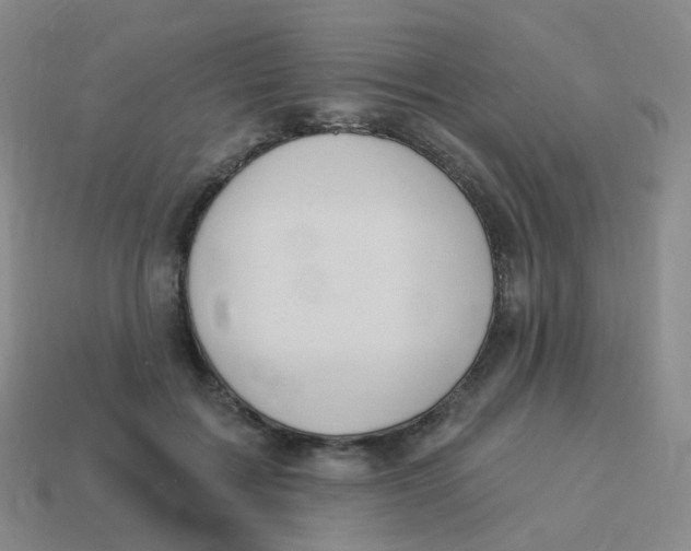 X0000113550603200910161435