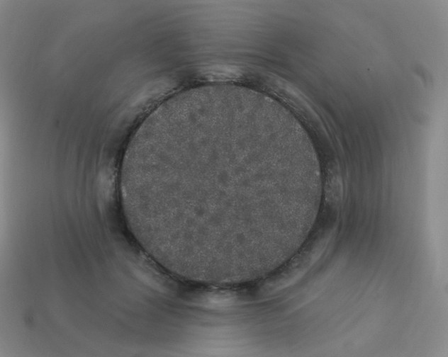 X0000113550604200910161435