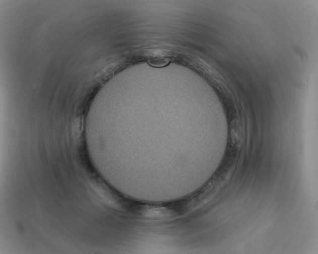 X0000113550605200910161435