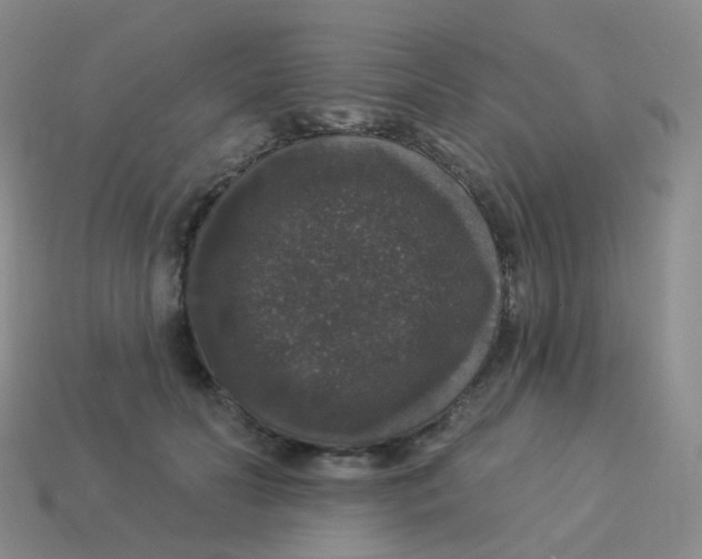 X0000113550606200910161435