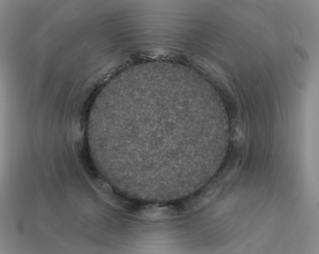 X0000113550607200910161435