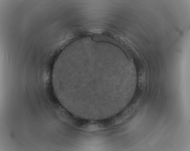 X0000113550608200910161435