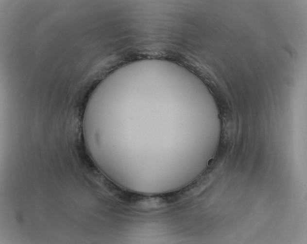 X0000113550609200910161435