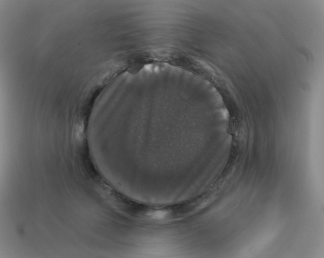 X0000113550610200910161435