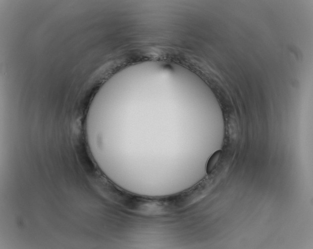 X0000113550611200910161435